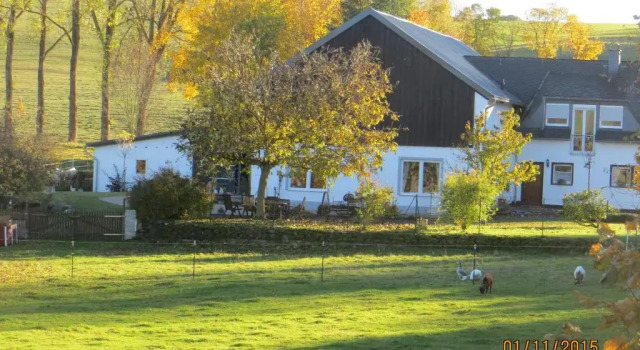 Апартаменты Ferienwohnungen Grafenfelder Hof