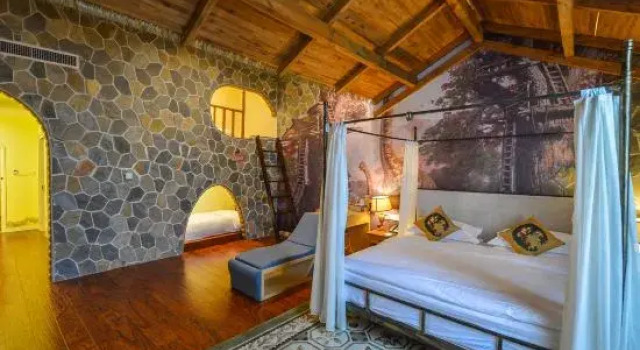 Люкс Premier Changzhou Dinosaur Resort Hotel