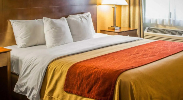 Двухместный номер Quality Inn & Suites Port Huron