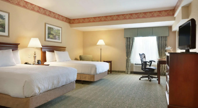 Четырёхместный номер Standard Hilton Garden Inn Fairfax