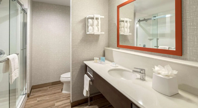 Четырёхместный номер Standard Hampton Inn & Suites Indio, Ca