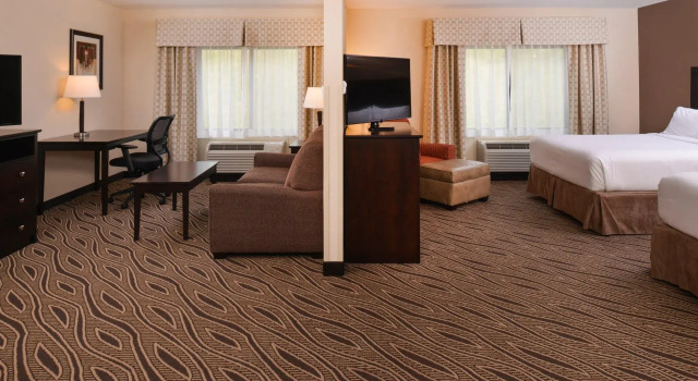 Четырёхместный люкс Holiday Inn Express & Suites Washington - Meadow Lands by IHG