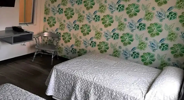 Номер Standard Hotel Kyrios Veracruz