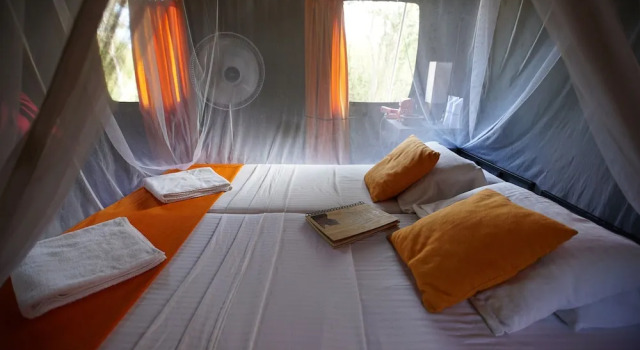 Тент c 1 комнатой с видом на озеро Explorer by Eco Team - Wasgamuwa National Park