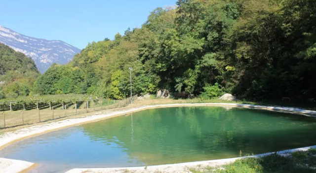 Апартаменты Agriturismo Maso Rocca