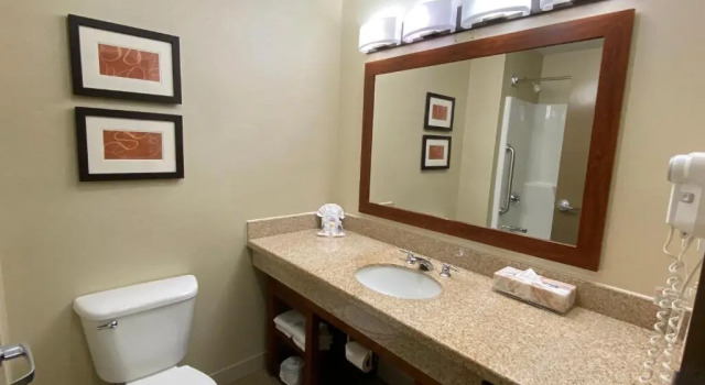 Люкс Comfort Suites Coralville I-80