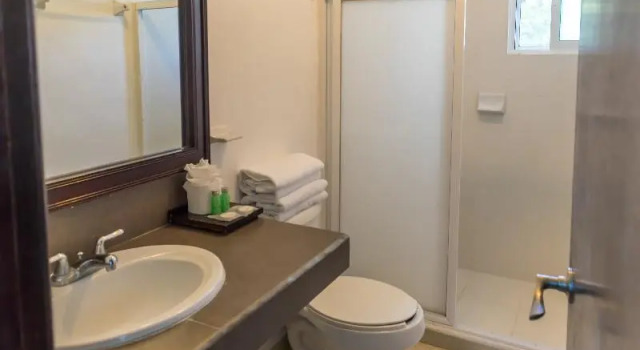 Номер Standard с балконом Las Gaviotas Hotel and Suites