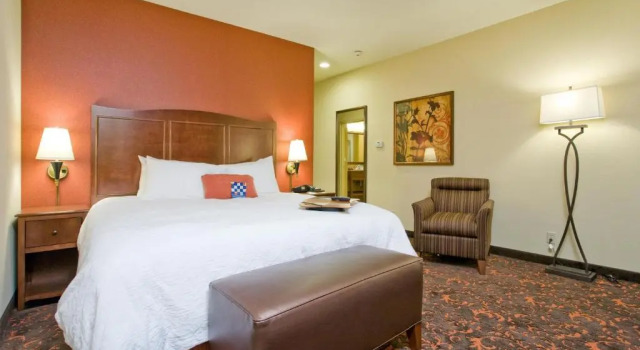Номер Deluxe Hampton Inn & Suites New Braunfels