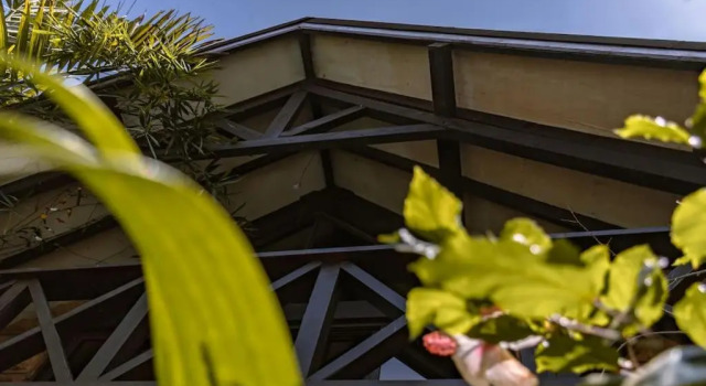 The Annex at 64 : Cozy, rustic cottage/treehouse, Book Vacation Home Cottages in Nairobi, Cottage
