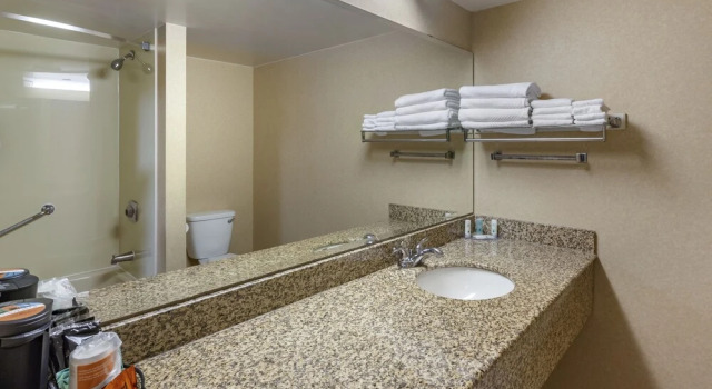 Люкс Quality Inn & Conference Centre