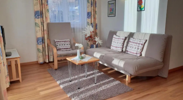 Апартаменты c 1 комнатой с балконом Appartements Dornach