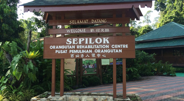 Tanini Sepilok Formerly Known As Nature Lodge Sepilok, Buchen Sie Hotel Sepilok Sabah