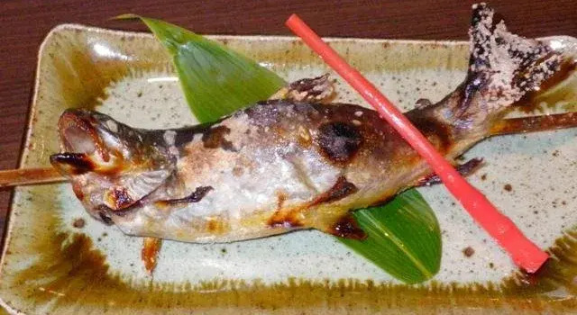 Robata, Book Hotel Zao Onsen 