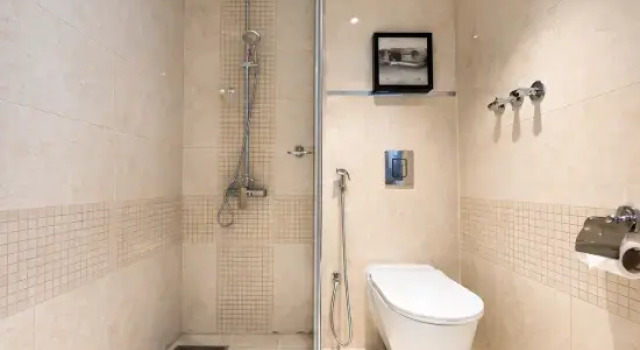 Двухместный номер Deluxe Blue Rose Garden Hotel Olaya فندق بلو روز جاردن العليا