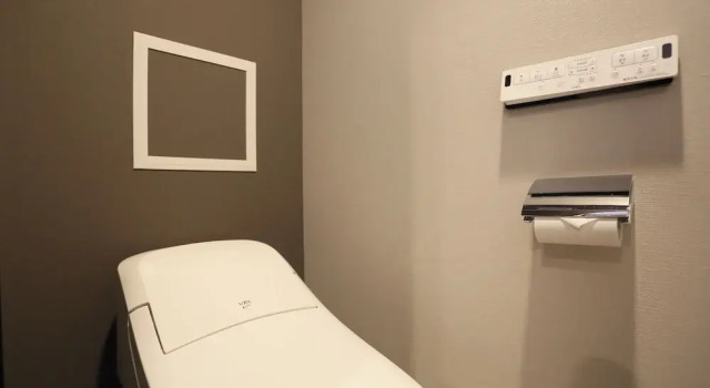 Трёхместный номер Economy RE HOTEL Tanimachi9chomeⅡ