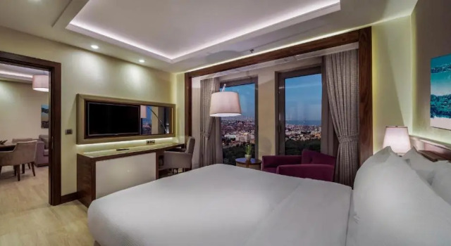 Двухместный люкс c 1 комнатой Doubletree By Hilton Istanbul Topkapi