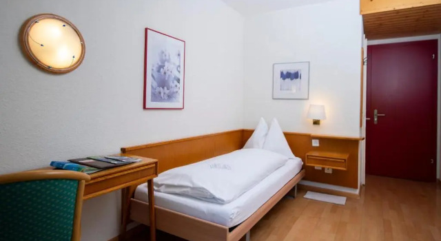 Одноместный номер Standard Hotel Berghaus