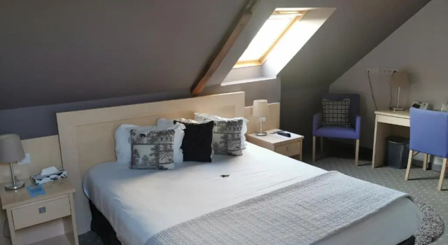 Двухместный номер Standard HÔTEL LES PALIS