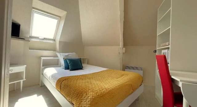 Номер Economy Hôtel des quatre saisons
