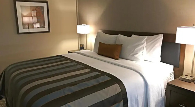 Номер Standard Wingate by Wyndham Miami Airport