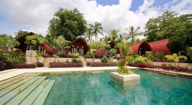 Jungle Paradise
