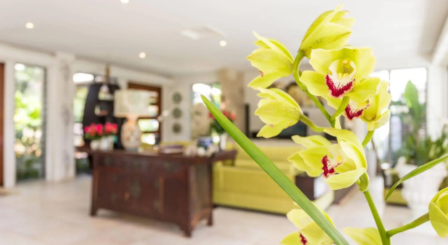 Alaya Verde Bed & Breakfast, Prenota Hotel Ringtail Creek Noosa Hinterland