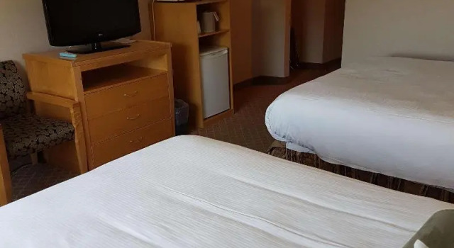 Номер Standard SureStay Plus by Best Western Coquitlam