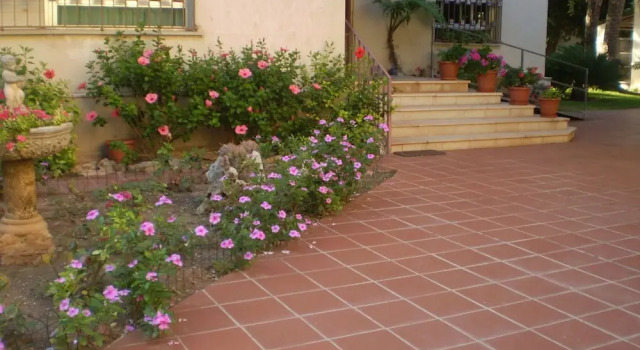 Apartamentos El Oasis