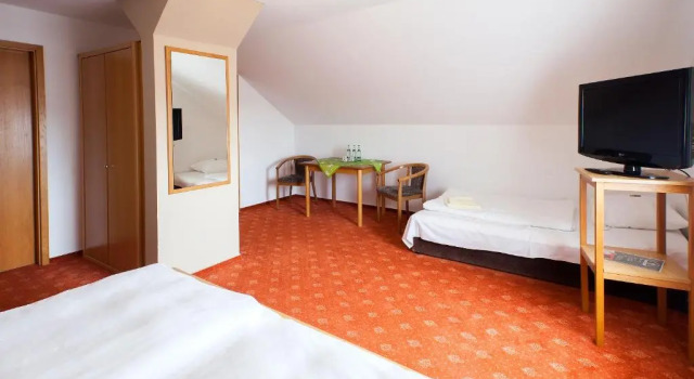 Трёхместный номер Standard Hotel & Restaurant Ernst