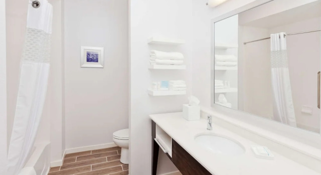 Четырёхместный номер Standard Hampton Inn Eufaula Al