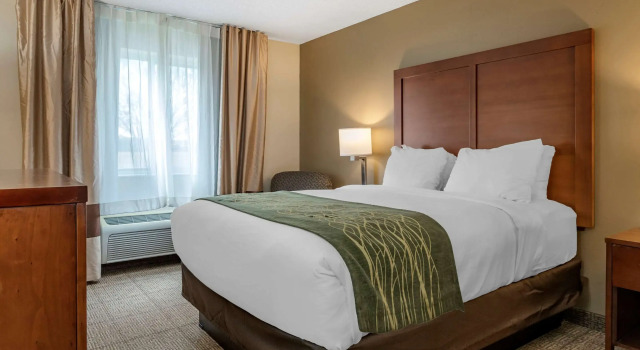 Двухместный номер Standard Comfort Inn & Suites Dimondale - Lansing