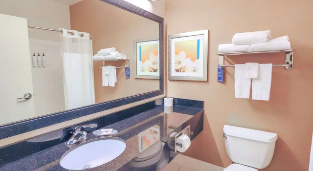 Люкс Comfort Inn & Suites Houston North - Spring