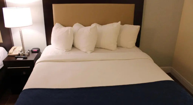 Четырёхместный номер Premium Fairway Inn Florida City Homestead Everglades