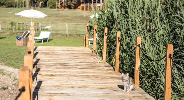 Коттедж Cottage Beach Vico