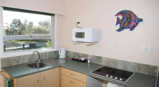 Апартаменты c 1 комнатой с балконом и с видом на море Cooks Lookout Motel