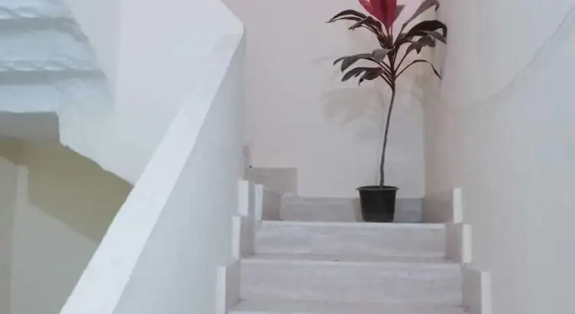 Номер Standard Flower Pyramids Inn