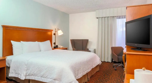 Standard Zimmer Hampton Inn Laredo
