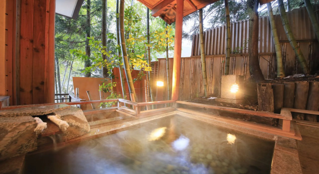 Номер Standard Ryokan Tanigawa