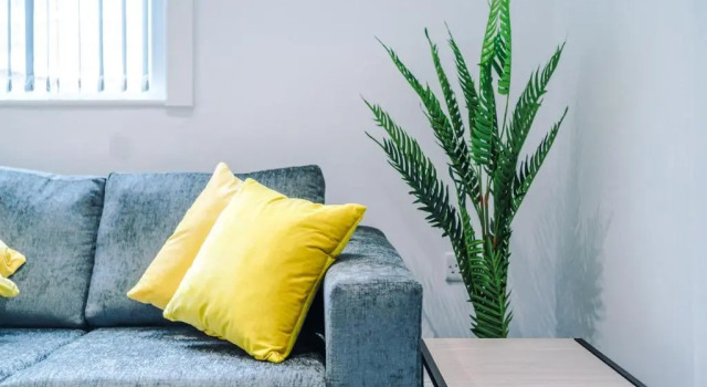 Studio Two, Clarendon Apartments
