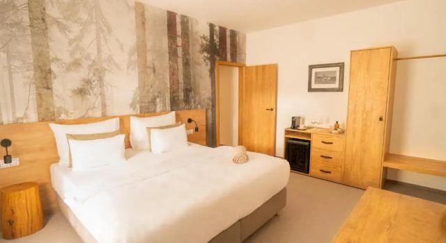 Семейный люкс Boutique Hotel Soyka