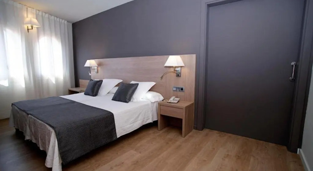 Номер Deluxe Balneari Termes Victòria