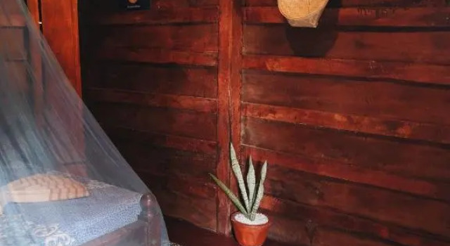 Bird House Mirissa, Book Hotel Billige hoteller i Matara