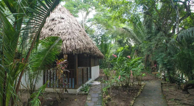 Четырёхместный номер Comfort с видом на реку Cohune Palms River Cabanas