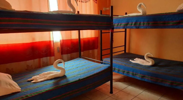 Кровать в общем номере Hotel Green Monkey