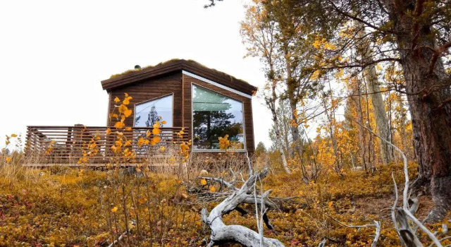 Апартаменты Bjørnfjell Mountain Lodge