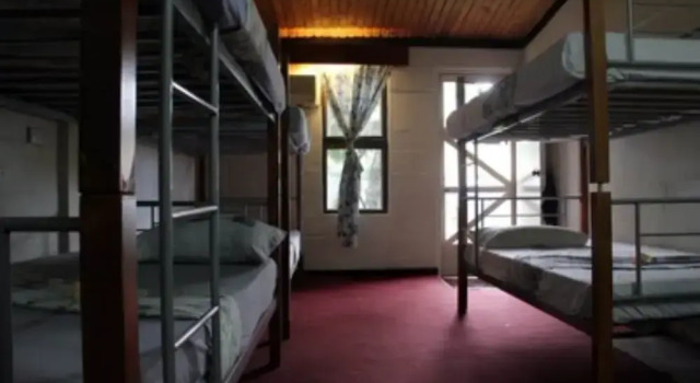 Кровать в общем номере (женский номер) Bamboo Backpackers