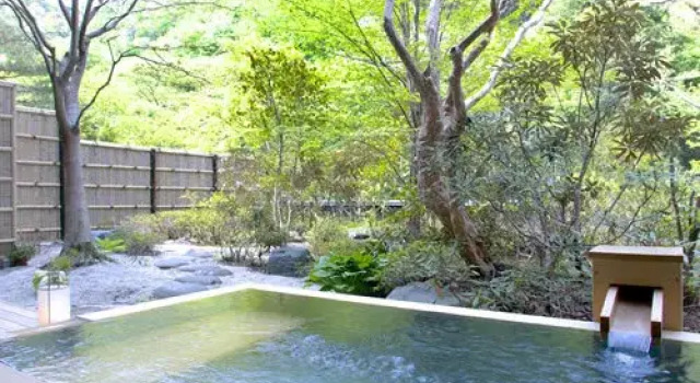 Номер Standard с видом на сад Okuikaho Ryotei Kaichoro Ryokan
