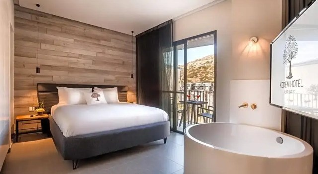Двухместный номер Deluxe с балконом Kedem Hotel