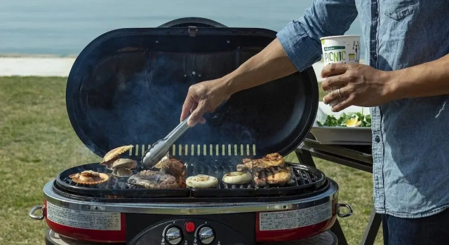 PICNIC　GARDEN, Prenota Campeggio Campeggi e glamping a Hyogo, Campeggio