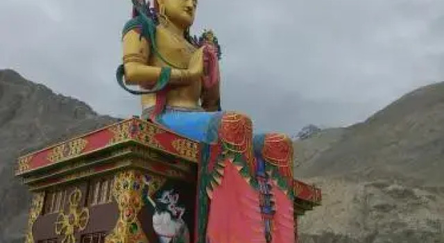 Organic Boutique Inn Nubra Hunder